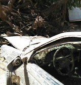 1213-e1437814853489-160x169