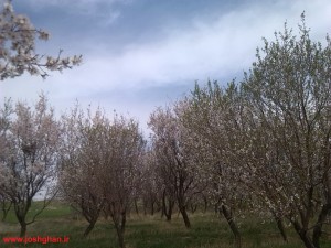 IMG_20140411_104034-300x225