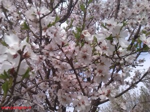 IMG_20140411_104041-300x225