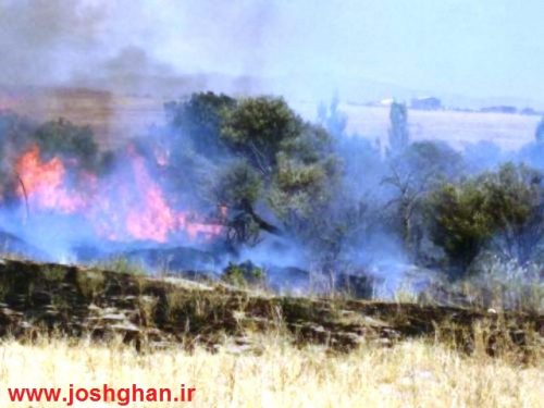 img_20160910_231019-500x375