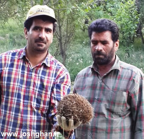 image-e3d65a5d7b810c288bd95db46faca92f21aab45b1be17b6da59e14f9073c6798-V