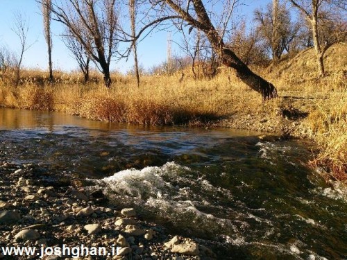 photo_2015-11-19_17-06-02