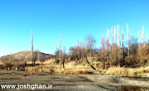 photo_2015-11-19_17-07-21