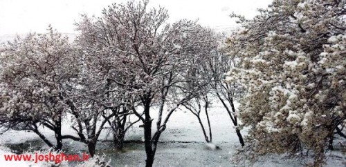 photo_2016-03-17_20-21-45