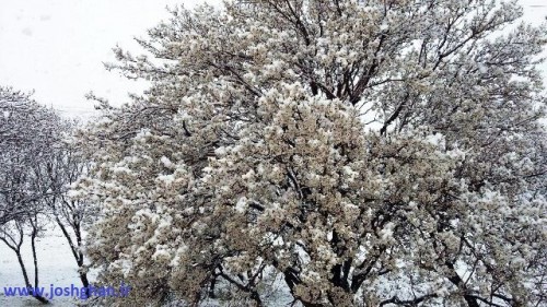 photo_2016-03-17_20-21-50