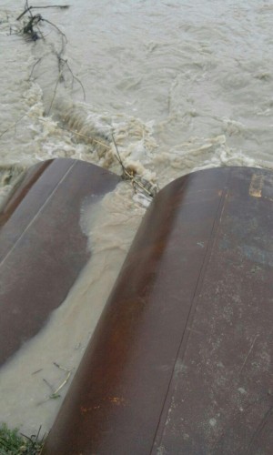 photo_2016-03-29_22-02-47