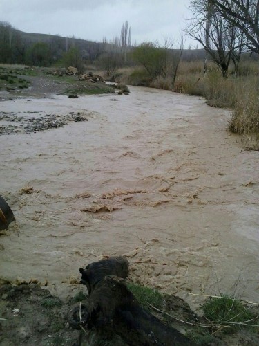 photo_2016-03-29_22-03-02