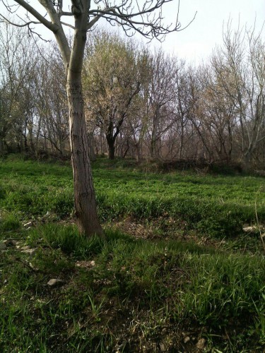 photo_2016-03-29_22-03-57