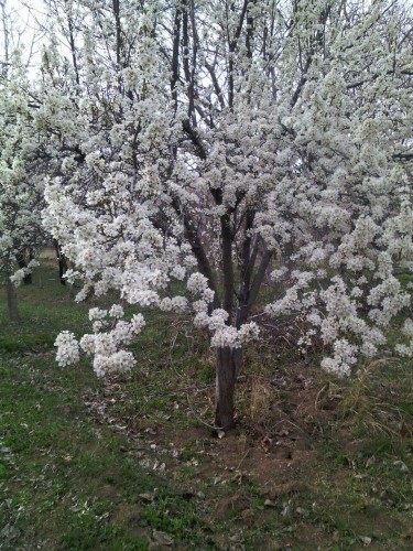 photo_2016-03-29_22-04-03