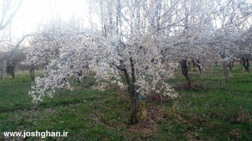 photo_2016-04-01_15-56-59