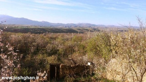 photo_2016-04-01_15-57-10