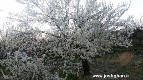 photo_2016-04-01_15-57-29