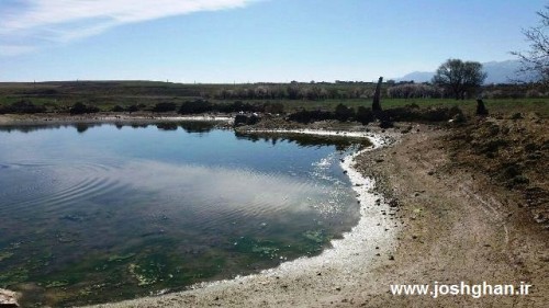 photo_2016-04-01_15-57-38