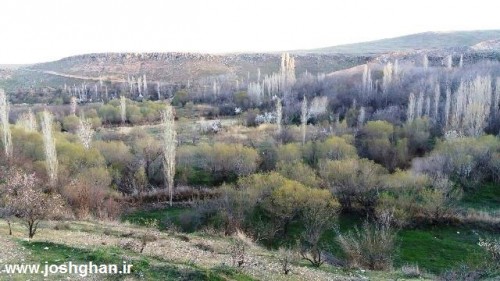 photo_2016-04-01_15-57-48