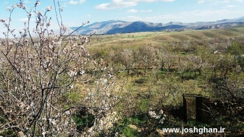 photo_2016-04-01_15-58-04