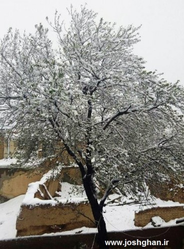 photo_2016-04-01_19-49-18