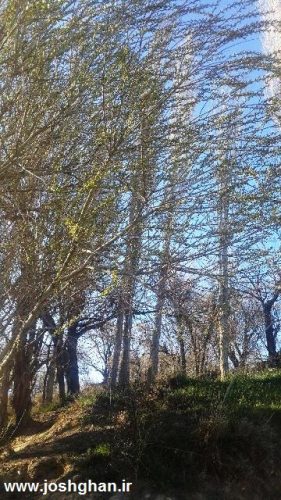 photo_2016-04-15_16-46-04