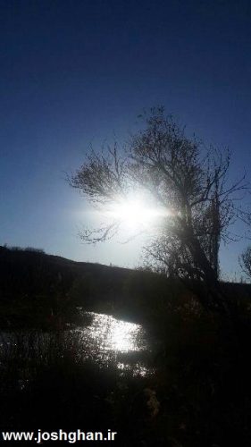 photo_2016-04-15_18-00-26