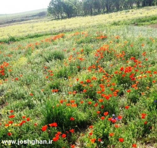 photo_2016-05-01_18-26-19