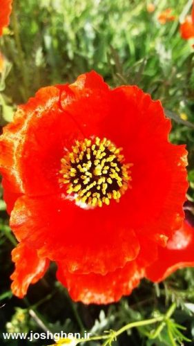 photo_2016-05-01_18-26-54