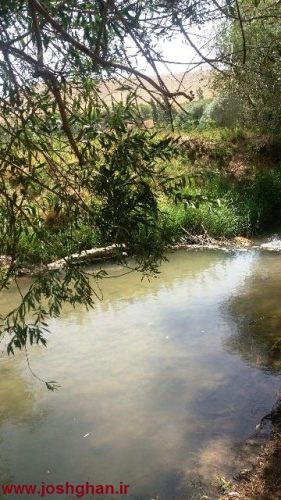 photo_2016-07-18_09-50-55