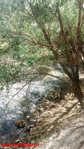 photo_2016-07-18_09-59-13