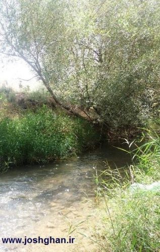 photo_2016-07-18_09-59-24