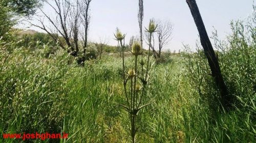 photo_2016-07-18_09-59-35