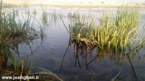 photo_2016-07-30_20-24-27