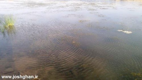 photo_2016-07-30_20-25-33