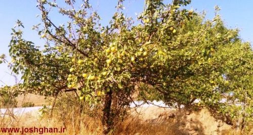 photo_2016-08-05_19-12-49