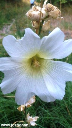 photo_2016-08-05_19-18-09