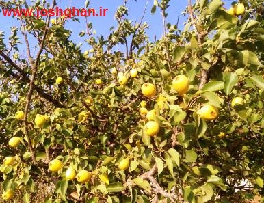 photo_2016-08-05_19-19-14