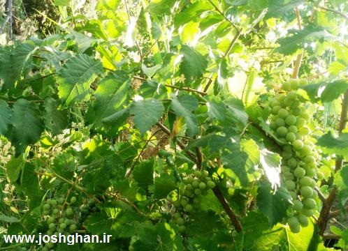 photo_2016-08-05_19-19-50