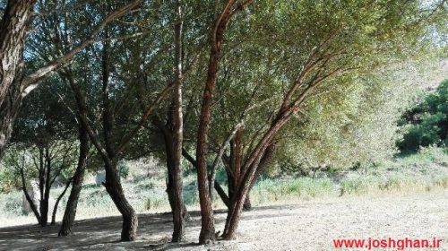 photo_2016-08-05_19-29-45