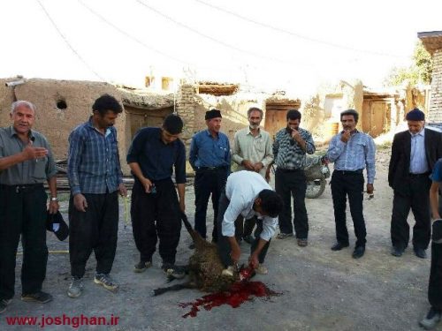 photo_2016-08-23_21-11-44