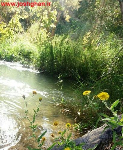 photo_2016-09-11_22-24-20