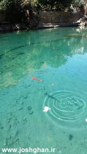 photo_2016-09-12_11-12-13