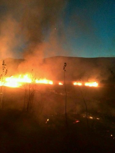 photo_2016-11-13_22-16-57