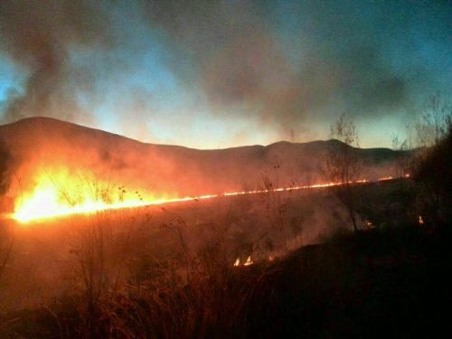 photo_2016-11-13_22-19-21