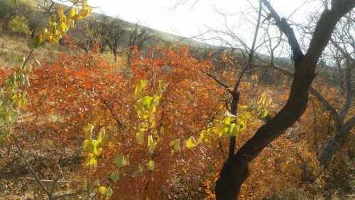 photo_2016-11-18_22-29-07