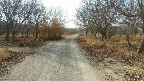 photo_2016-11-18_22-29-19