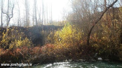 photo_2016-11-20_20-27-56