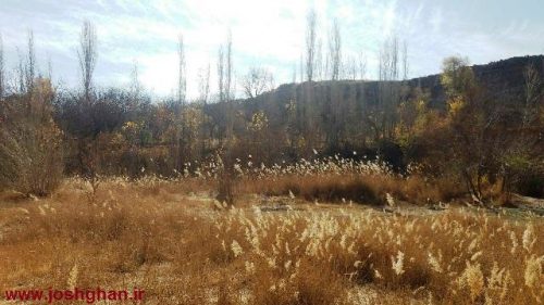 photo_2016-11-20_20-28-01