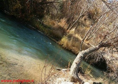 photo_2016-11-20_20-28-14