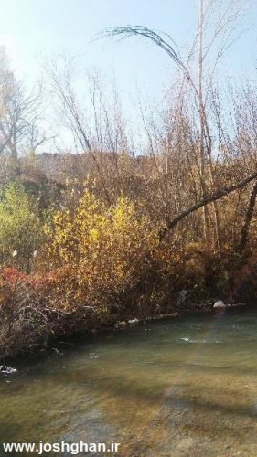 photo_2016-11-20_20-29-04