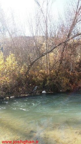 photo_2016-11-20_20-29-27