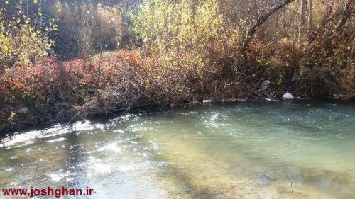 photo_2016-11-20_20-29-42