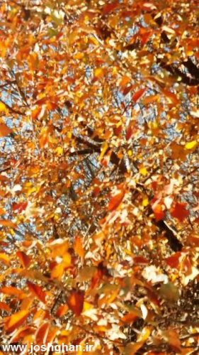 photo_2016-11-20_20-29-48