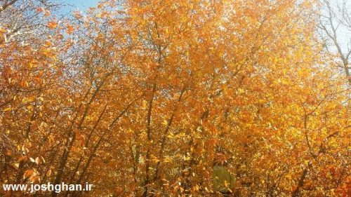 photo_2016-11-20_20-30-07